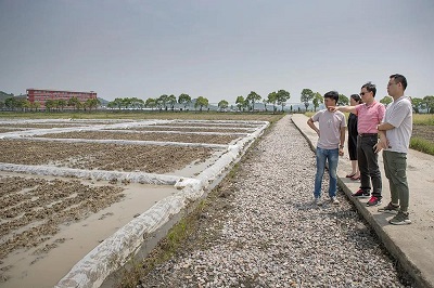 集團土壤修復重大研發(fā)專項落地推進